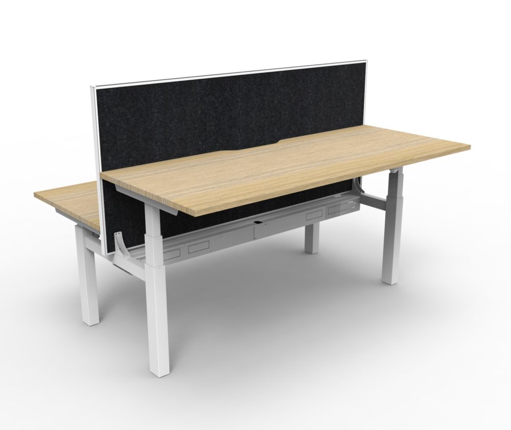 Rapidline Paramount 2 Person Height Adjustable Workstation with Screen